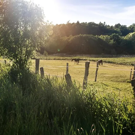 De Ole School Ferienapartments Maisonette-apartment 10 , Huus Brekers Hohwacht