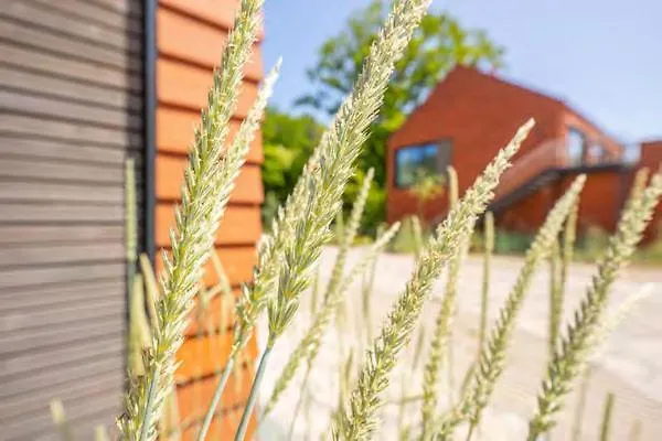 De Ole School Ferienapartments Maisonette-apartment 10 , Huus Brekers Appartement